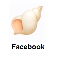 Seashell on Facebook