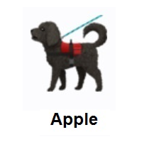 Service Dog on Apple iOS
