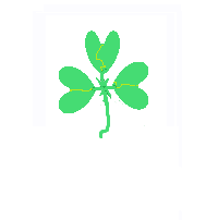 Shamrock