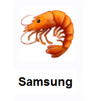 Shrimp on Samsung