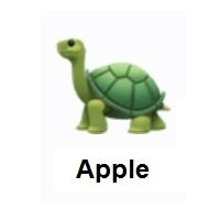 Turtle on Apple iOS