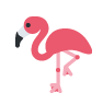 Flamingo Twitter