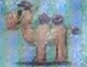 Camel Emoji