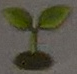 Growing Plant Emoji