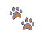 Paw Prints