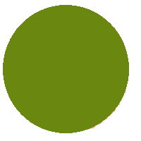 Green Circle: Grass Colored