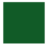 Green Square: Medium Colored