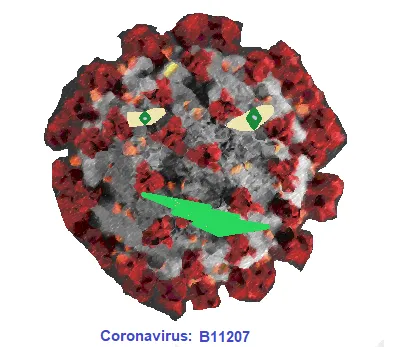 B.1.1.207 Covid 19 Mutation, Coronavirus