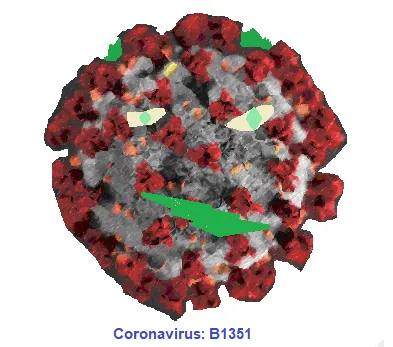 B.1.351 Covid 19 Mutation, Coronavirus