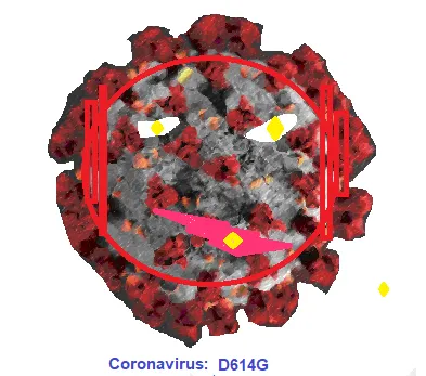 D614G Covid 19 Mutation, Coronavirus