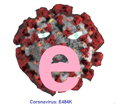 E484K Covid 19 Mutation, Coronavirus