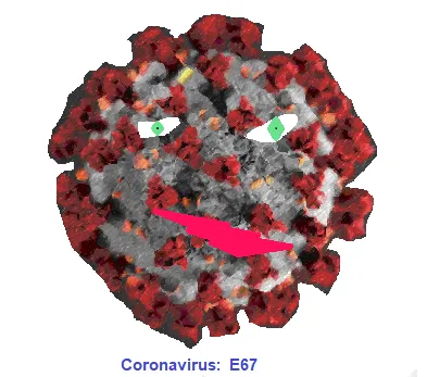 E67 Covid 19 Mutation, Coronavirus