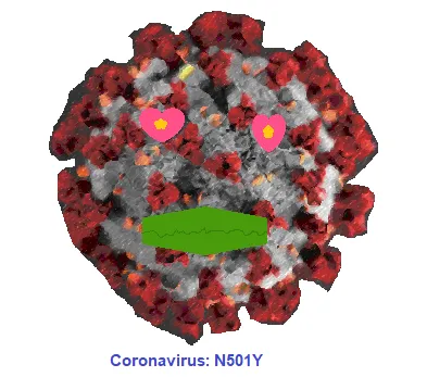 N501Y Covid 19 Mutation, Coronavirus