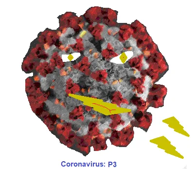 P.3 Covid 19 Mutation, Coronavirus