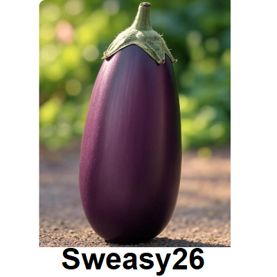 Aubergine Emoji