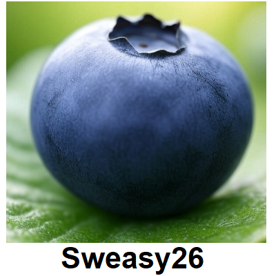 Blueberry Emoji