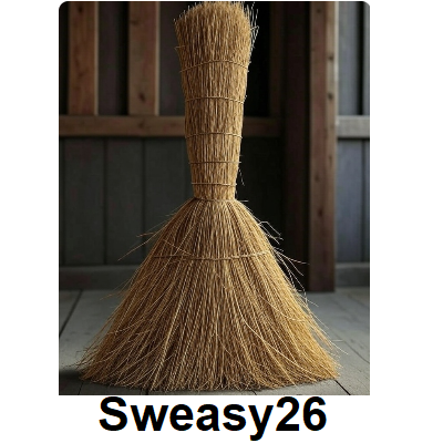Broom Emoji