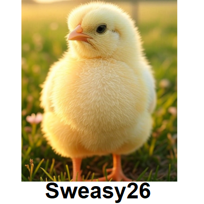 Chick Emoji