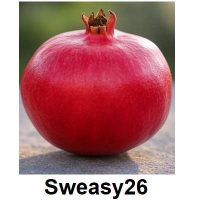 Pomegranate Emoji