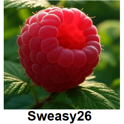 Raspberry Emoji