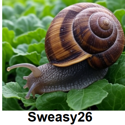 Snail Emoji