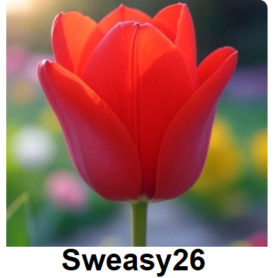 Tulip Emoji